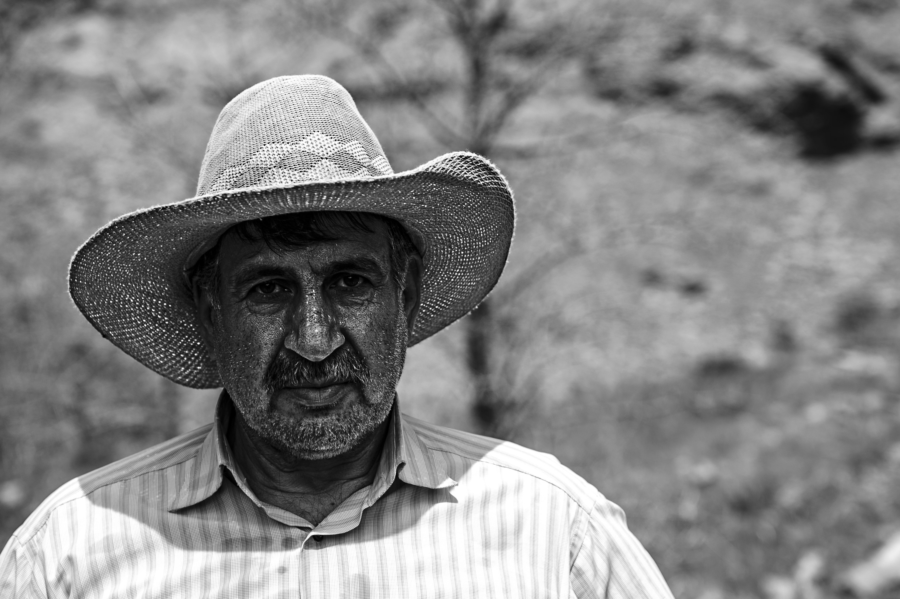 farmer portrait