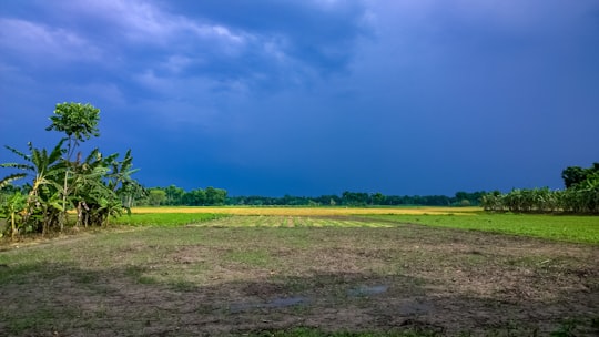 green grass field under blue sky during daytime in North 24 Parganas India