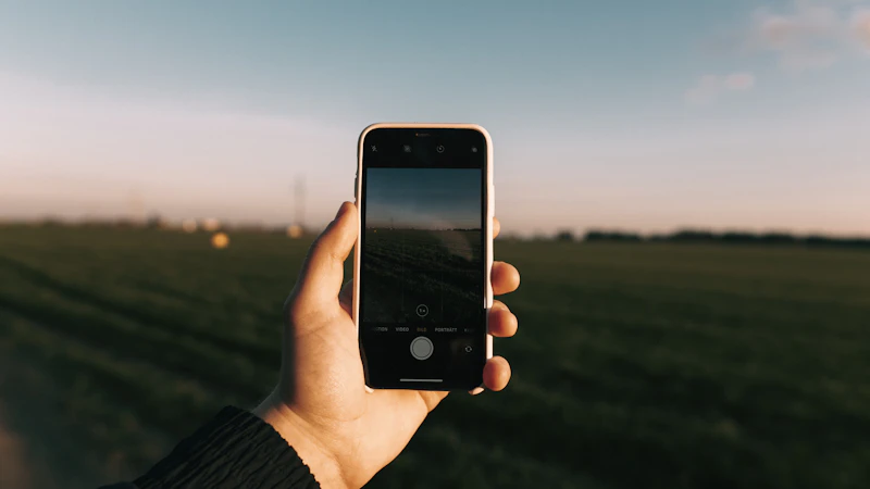 Notifications SMS pour producteurs : comment rejoindre vos clients avec 98 % de taux d'ouverture