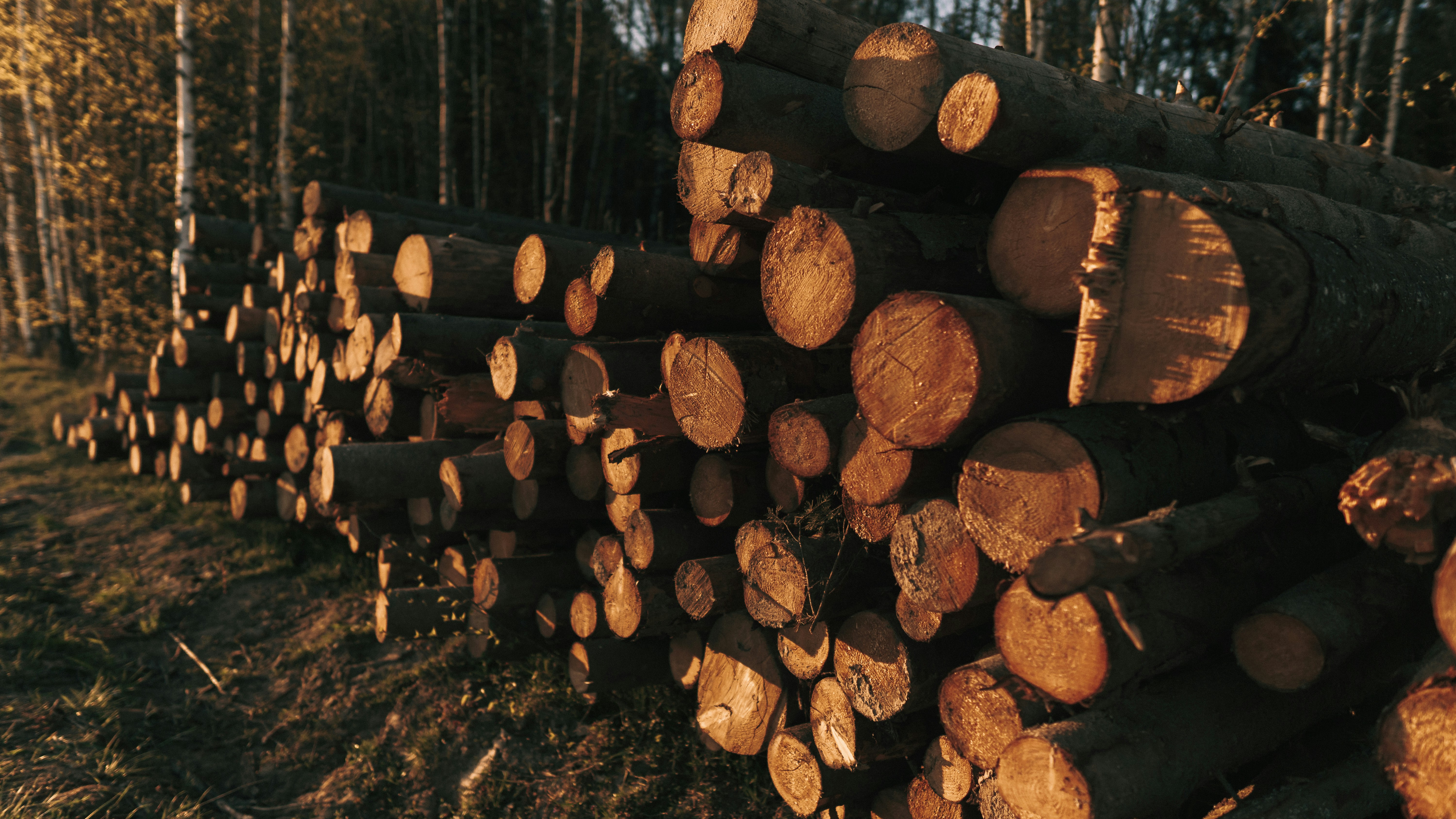 Photo by dead__angel_