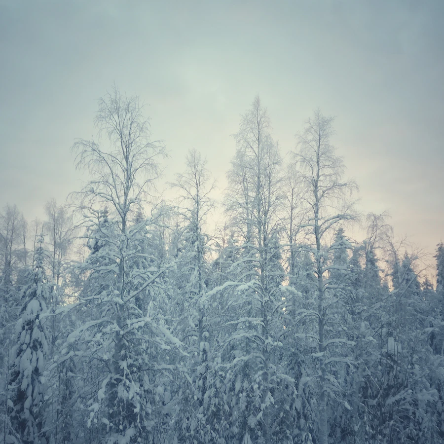 Rovaniemi & Santa Claus Village