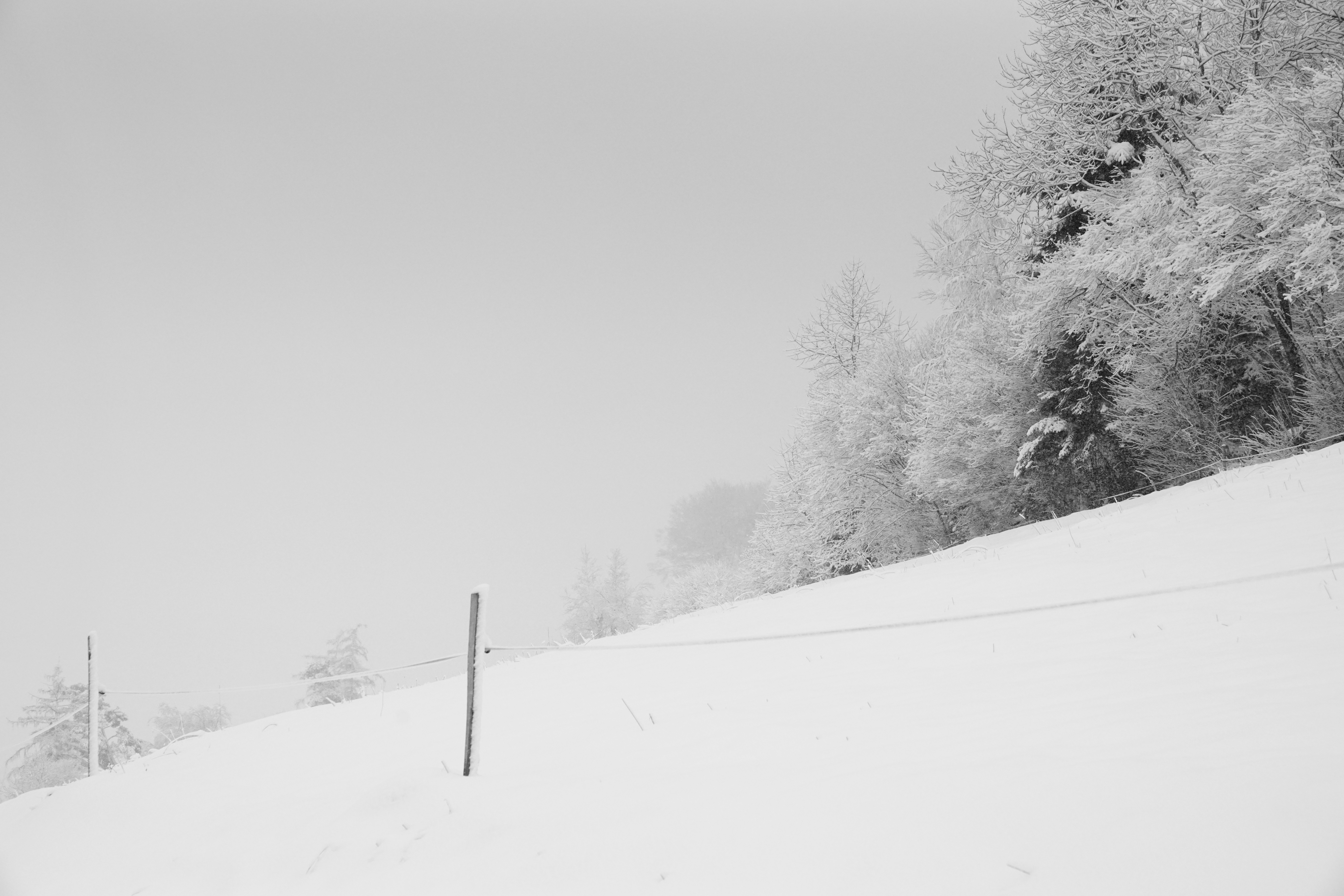 Photo by henriettedriessens