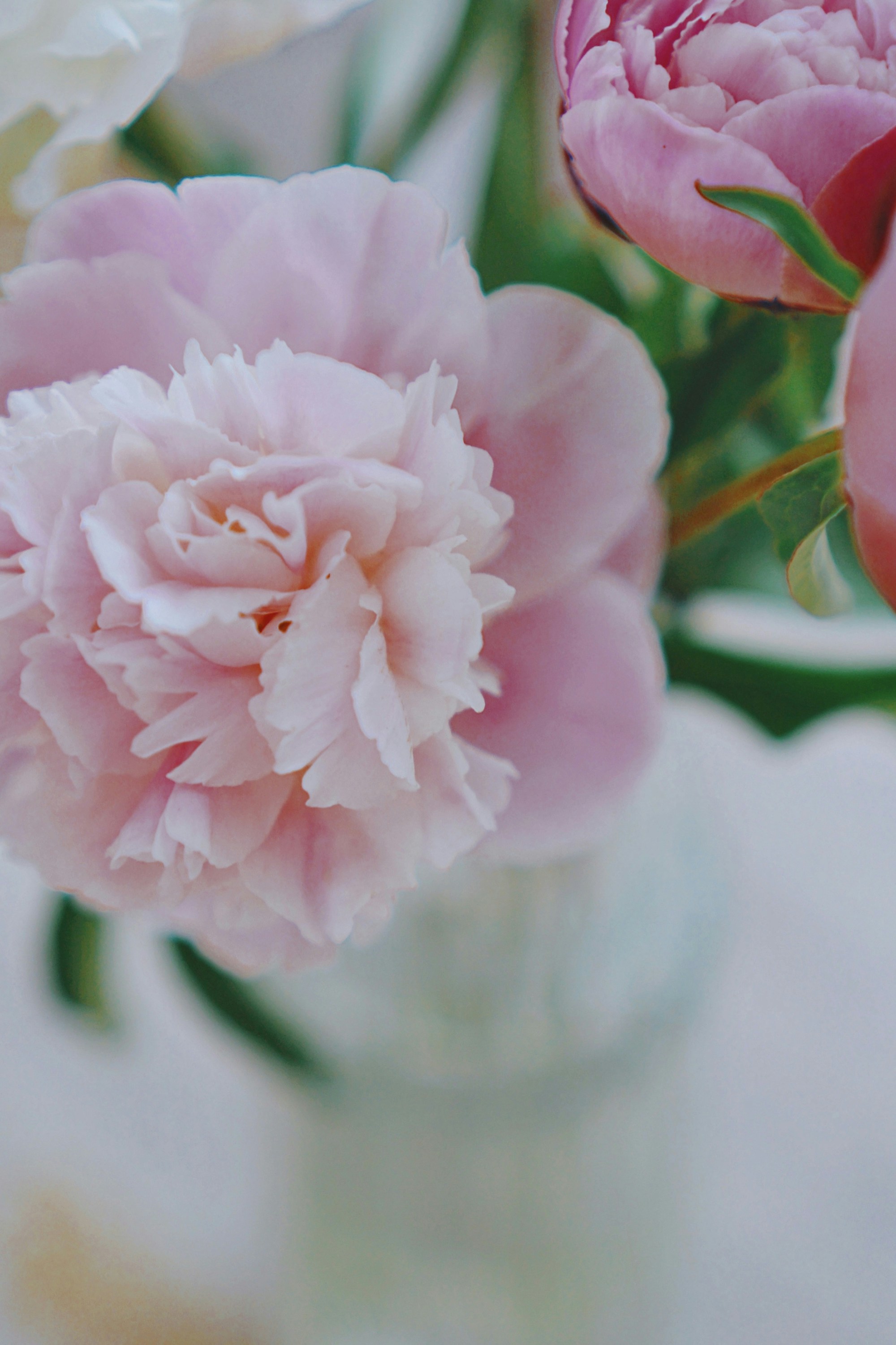 Photo by liaoweimeifang