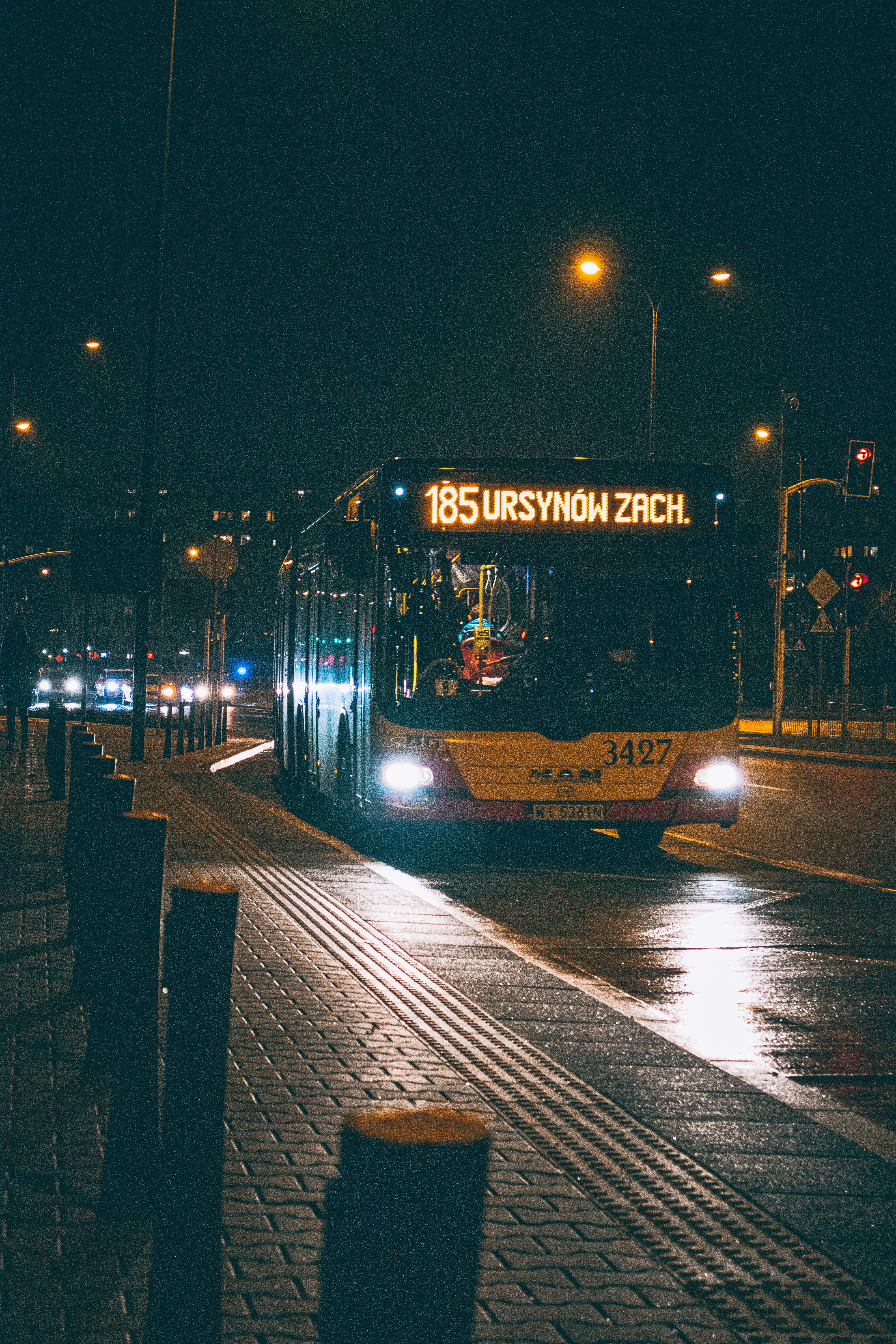 Deosai National Park - Home of The Himalayan brown bears