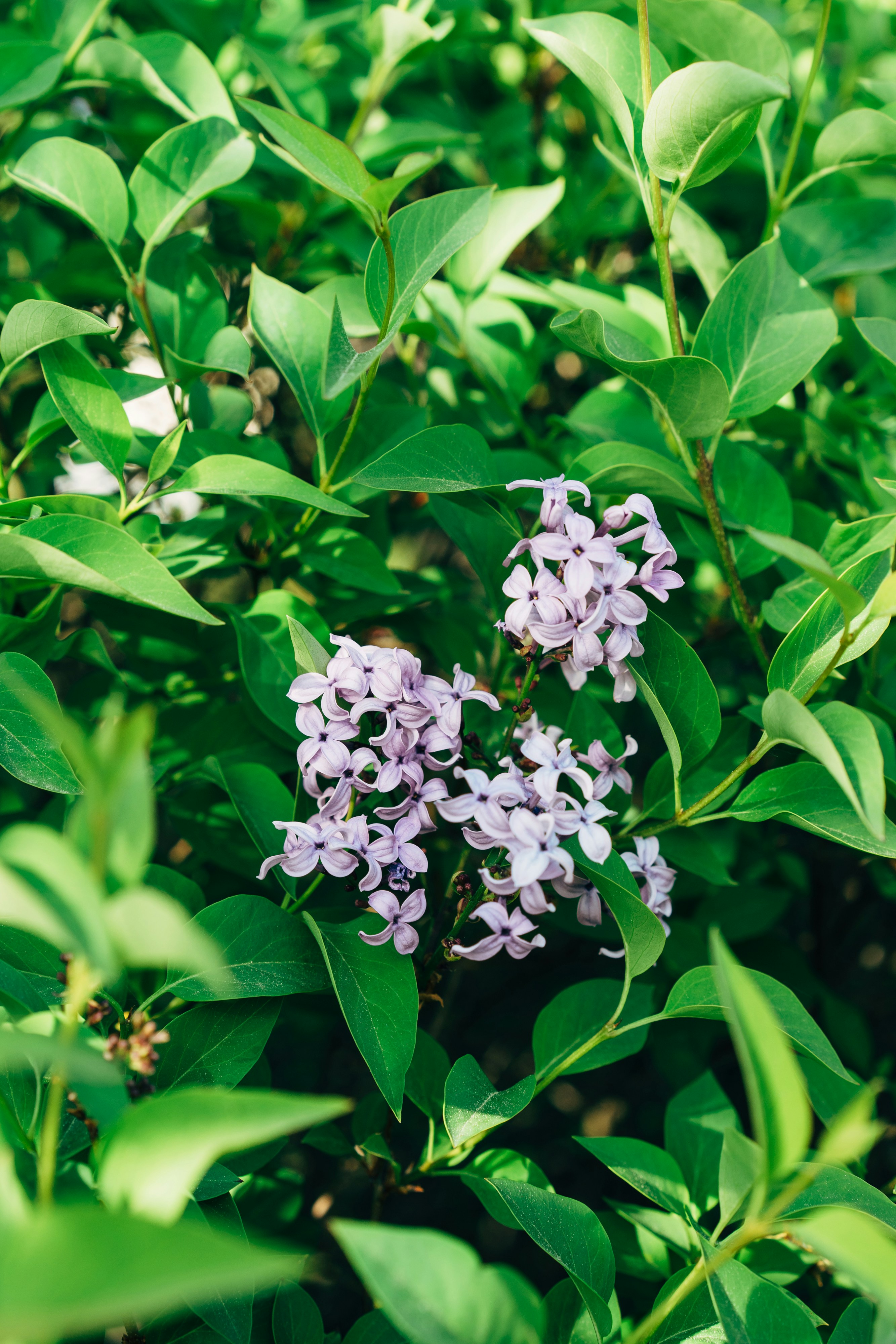 Photo by markuswinkler