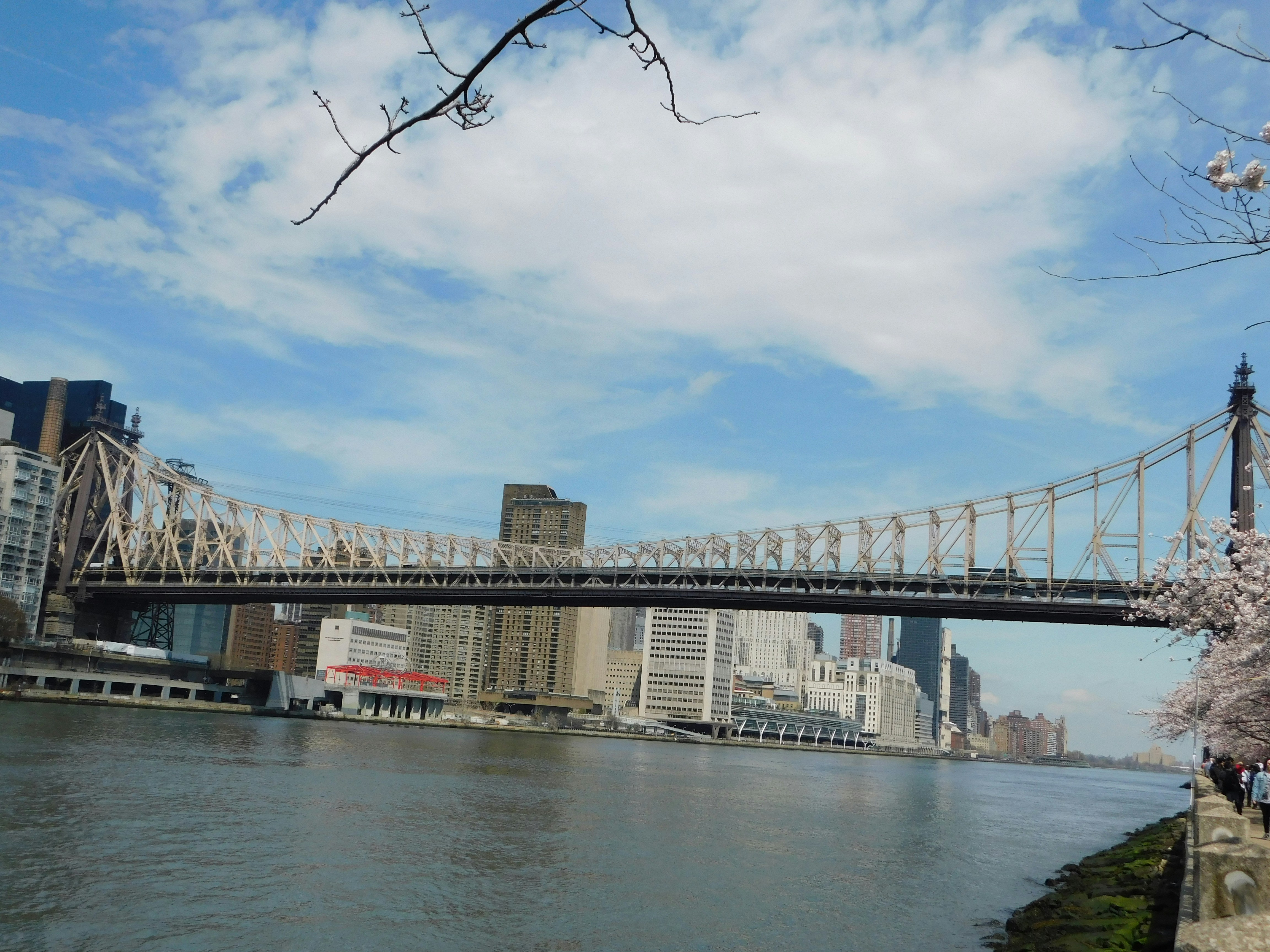 Photo by mona_snapshots