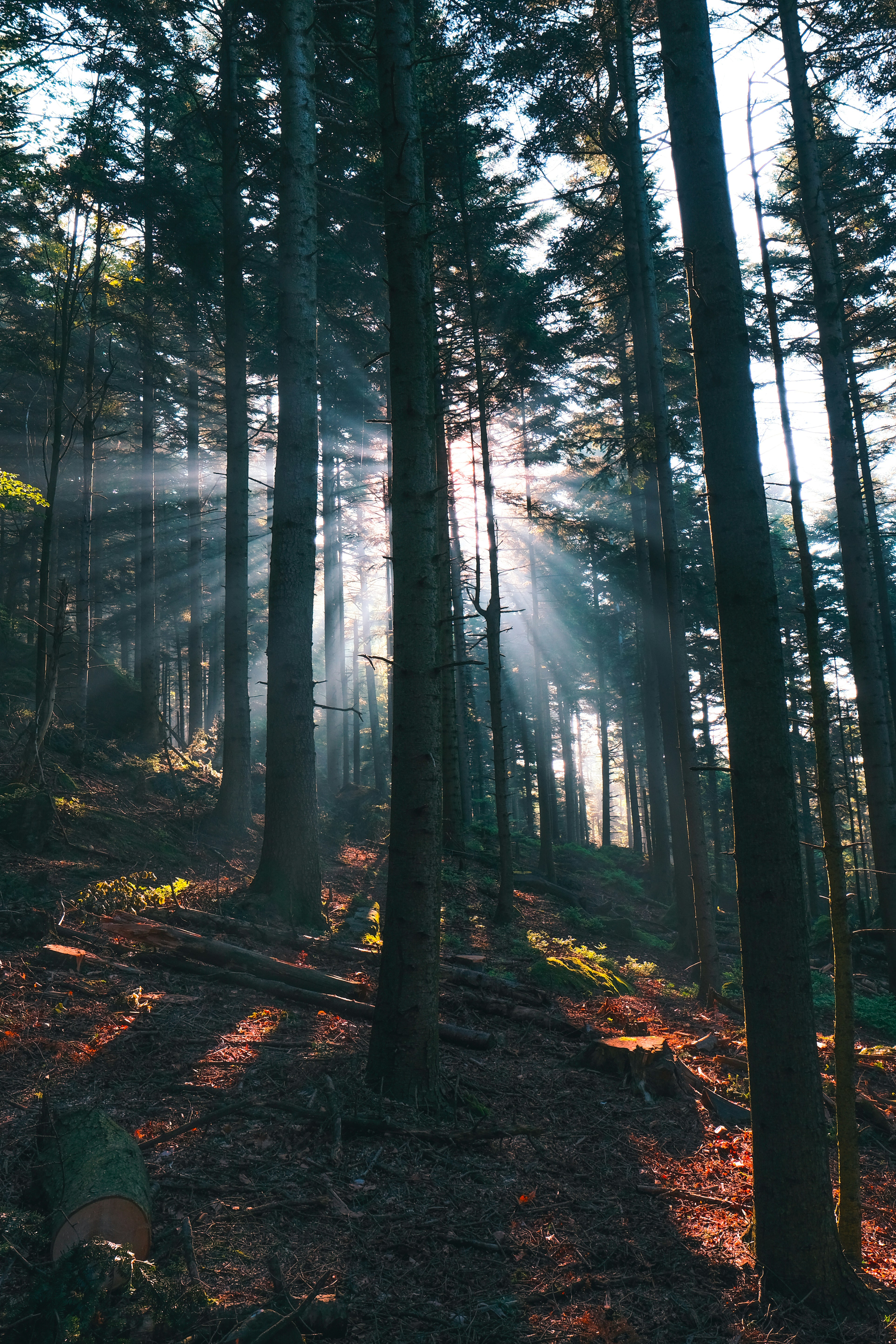 Photo by kevinmueller