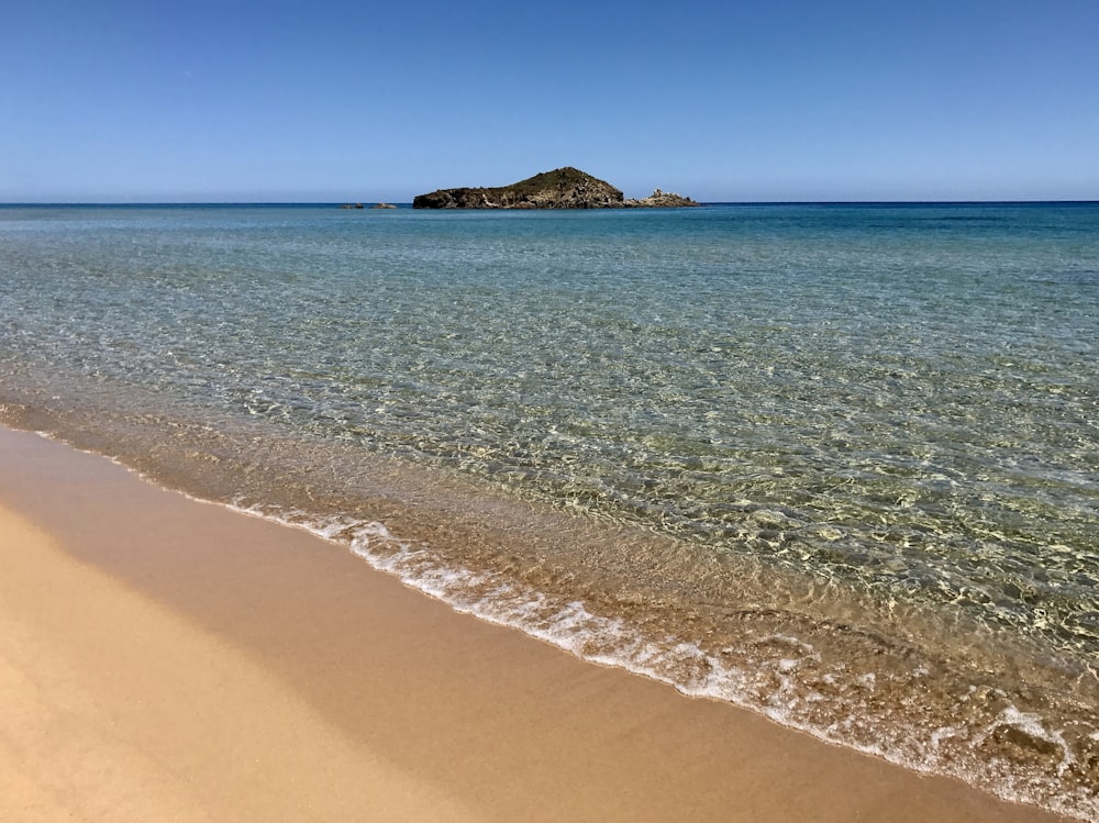 日中の茶色の砂浜