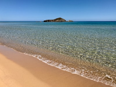 brown sand beach during daytime