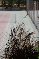 Detail of recycled materials used in the construction of the padel court fences.