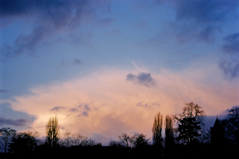 silhouette of trees under cloudy sky during daytime