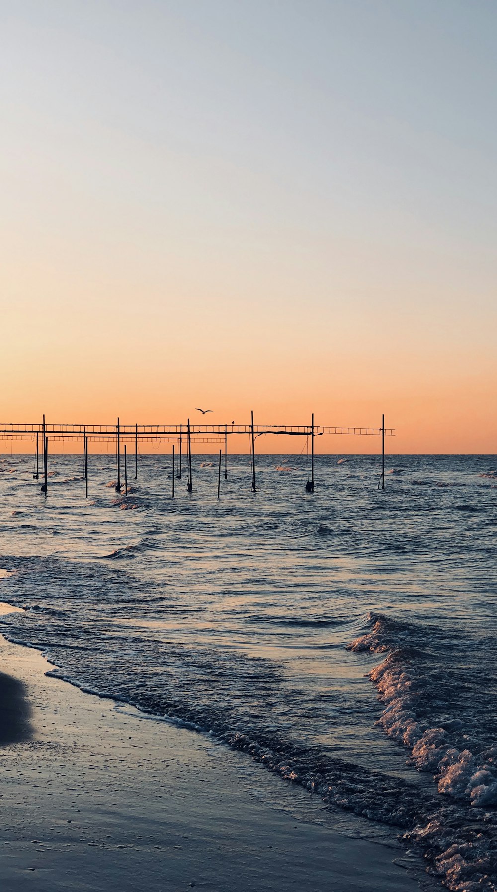 silhouette of people on beach during sunset