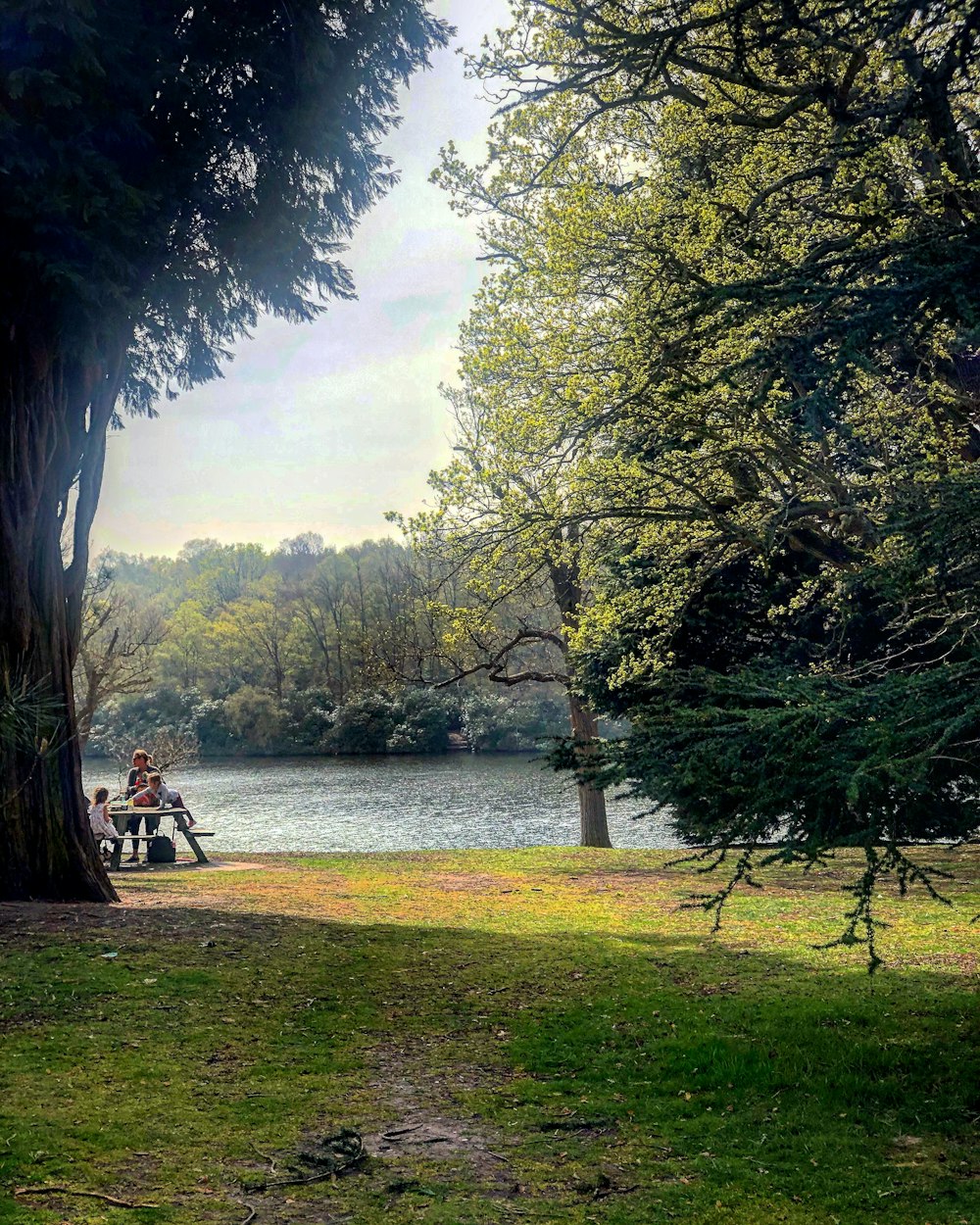 people sitting on bench near lake during daytime