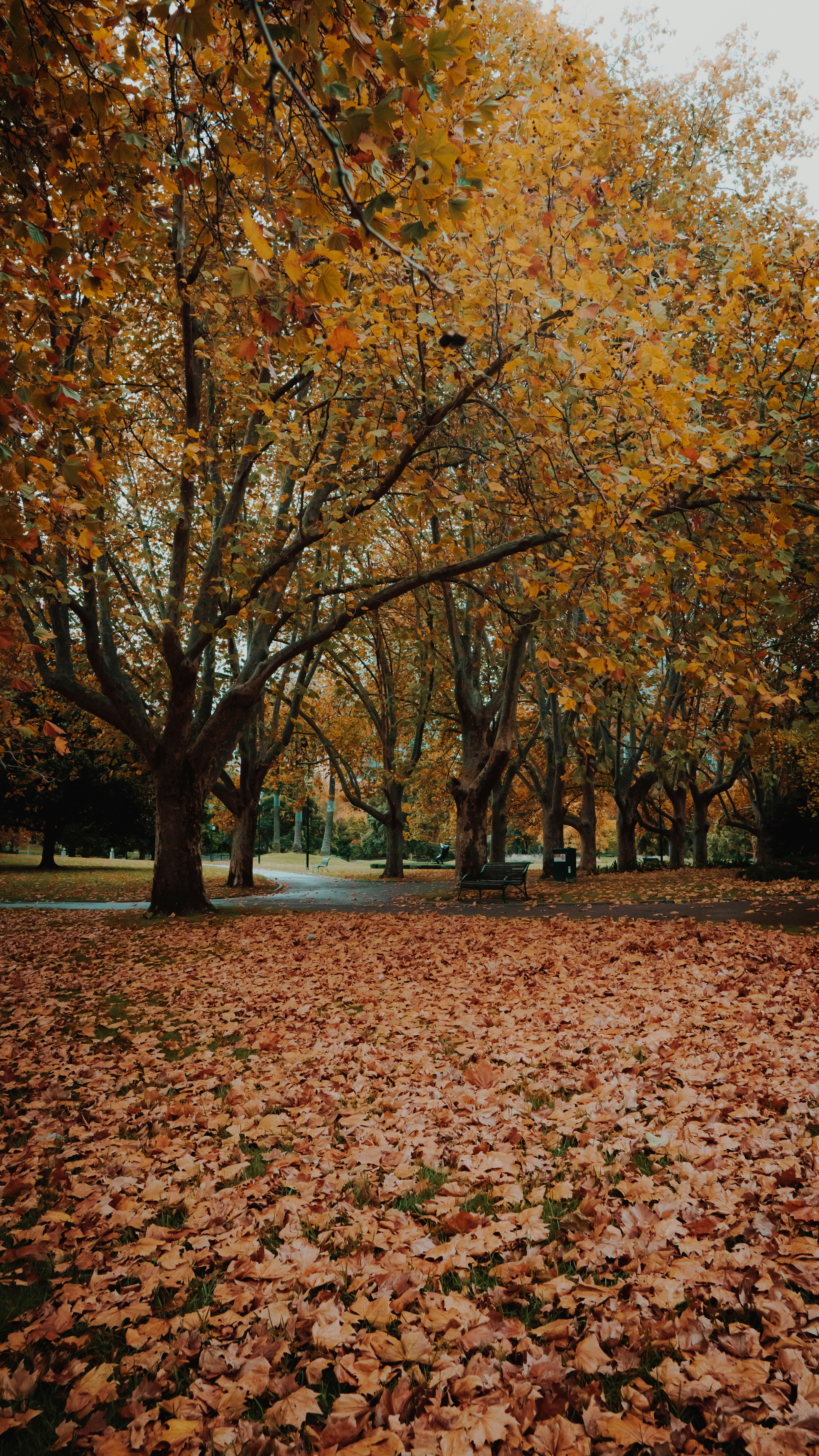 Photo by melvinmelvin