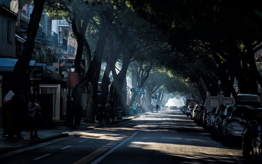 cars parked on sidewalk near trees during daytime