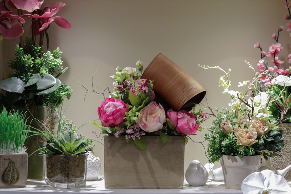 pink roses in white ceramic vase