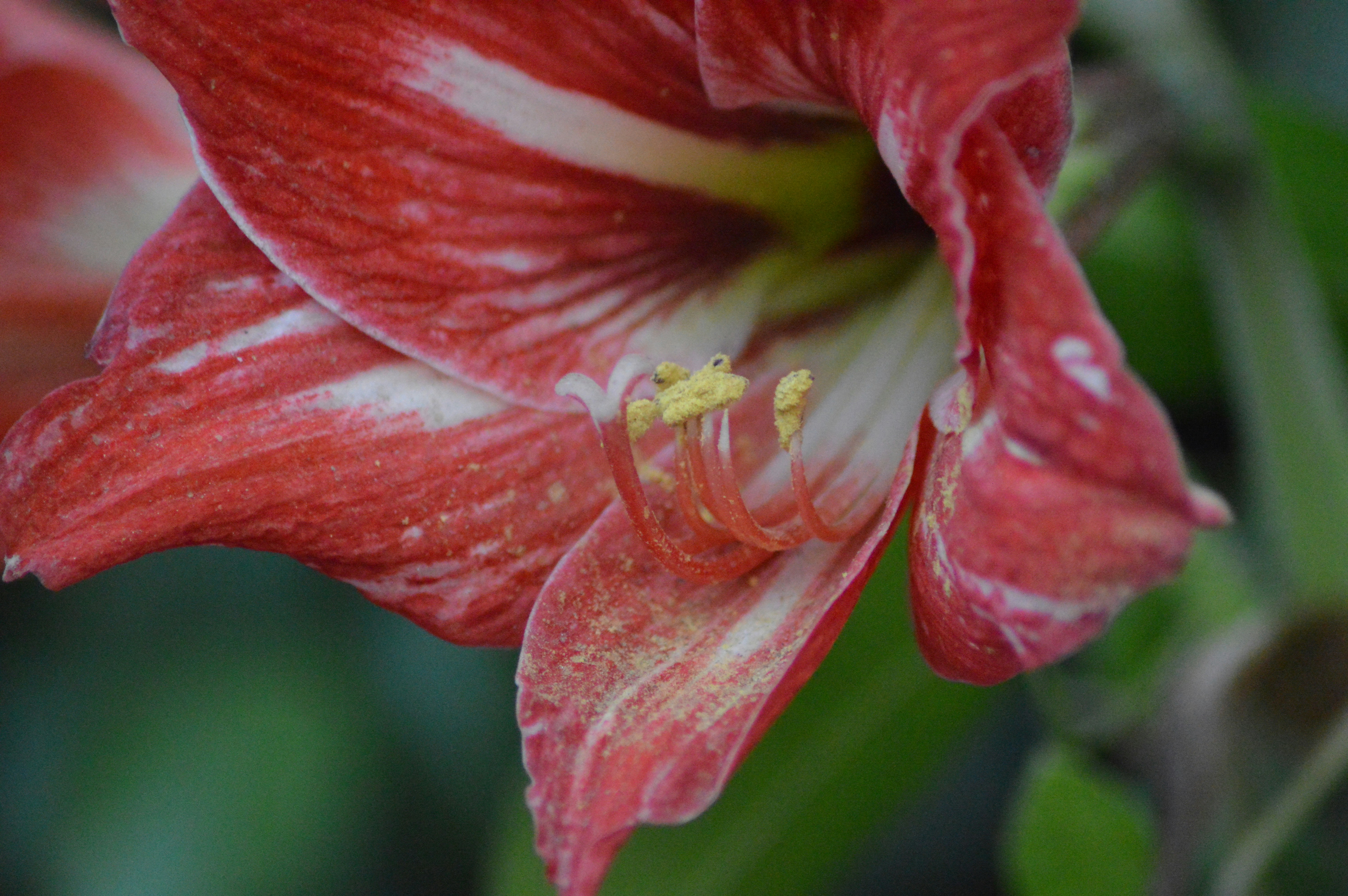 Photo by anirudhgaur