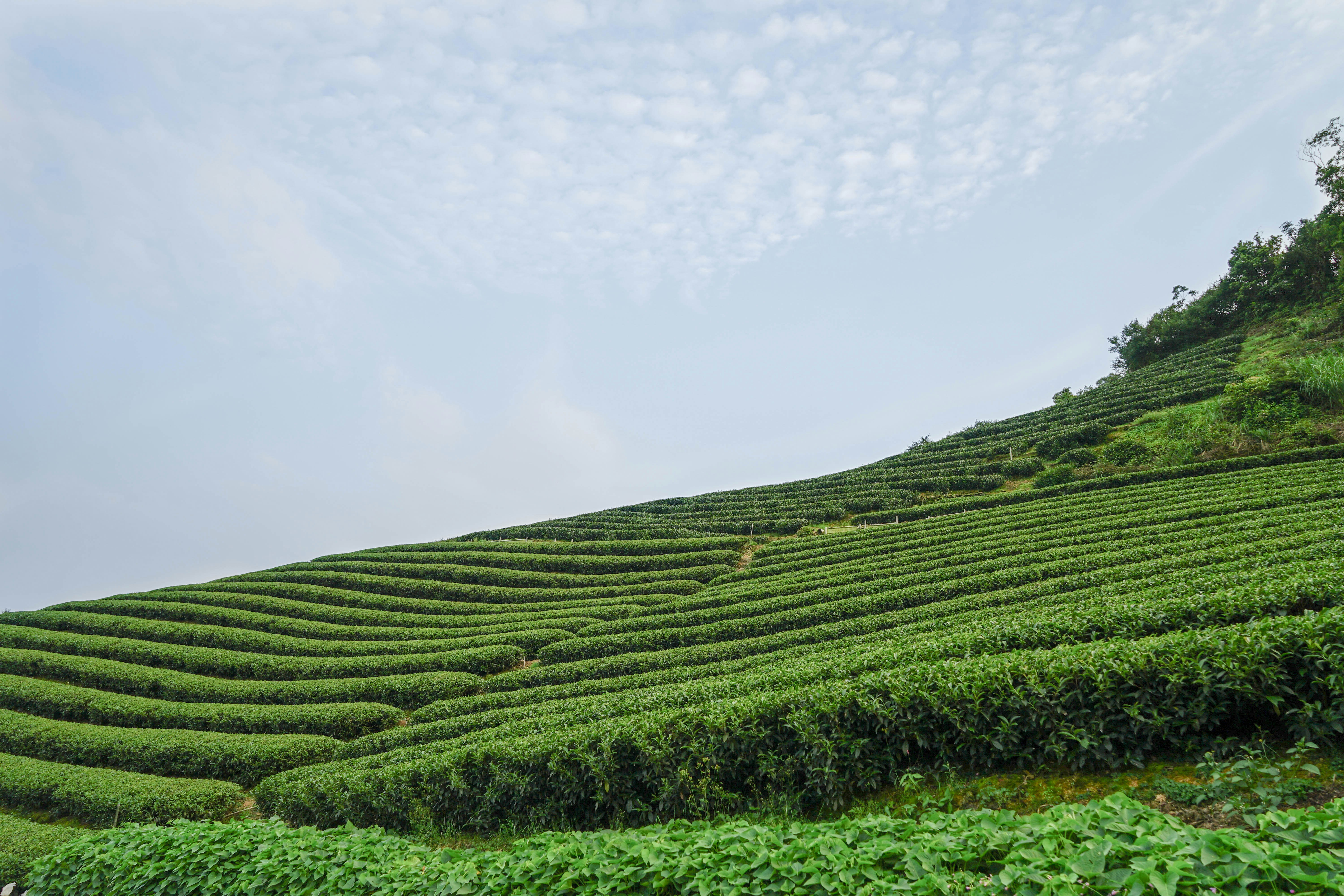 Photo by maggie__1105