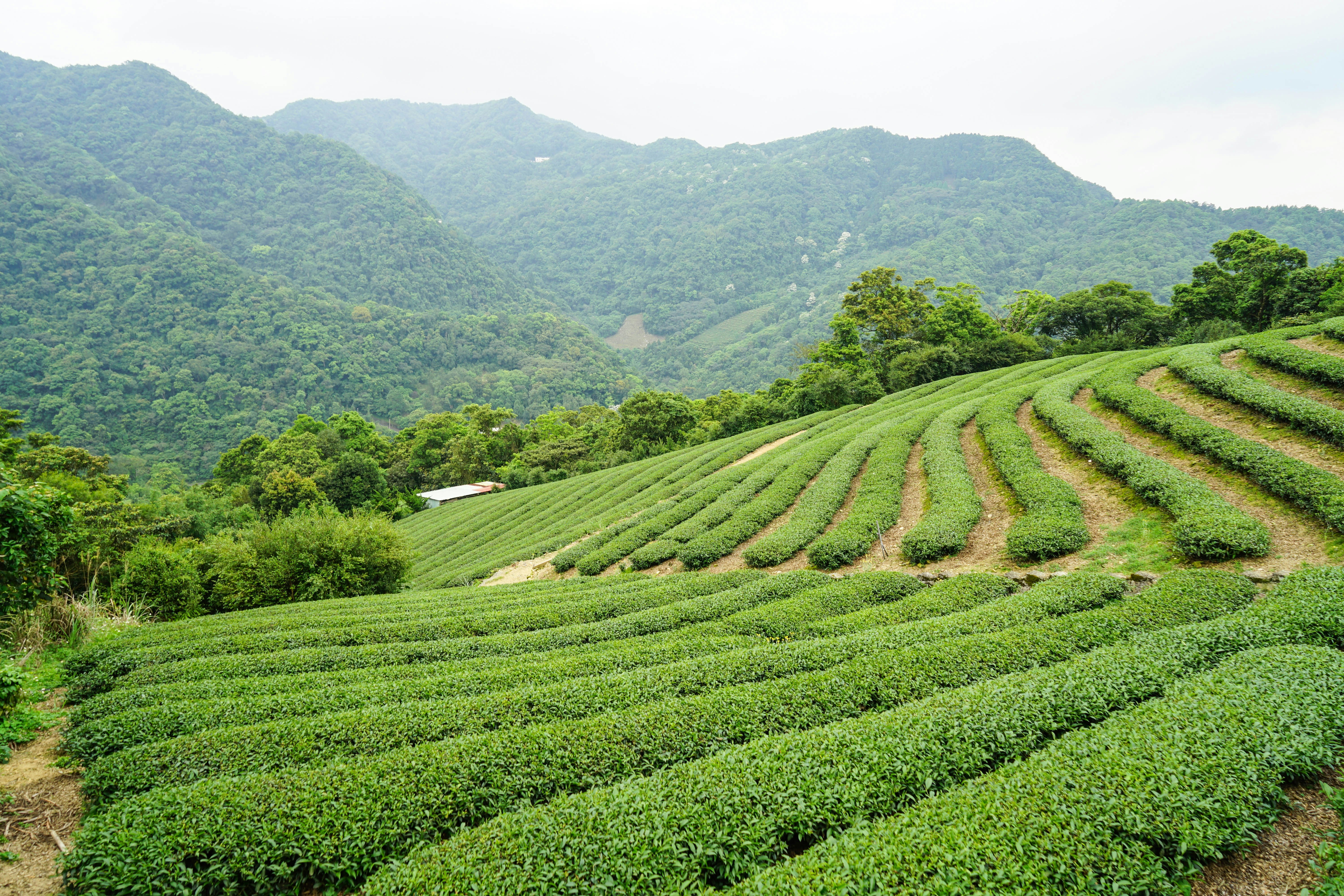 Photo by maggie__1105