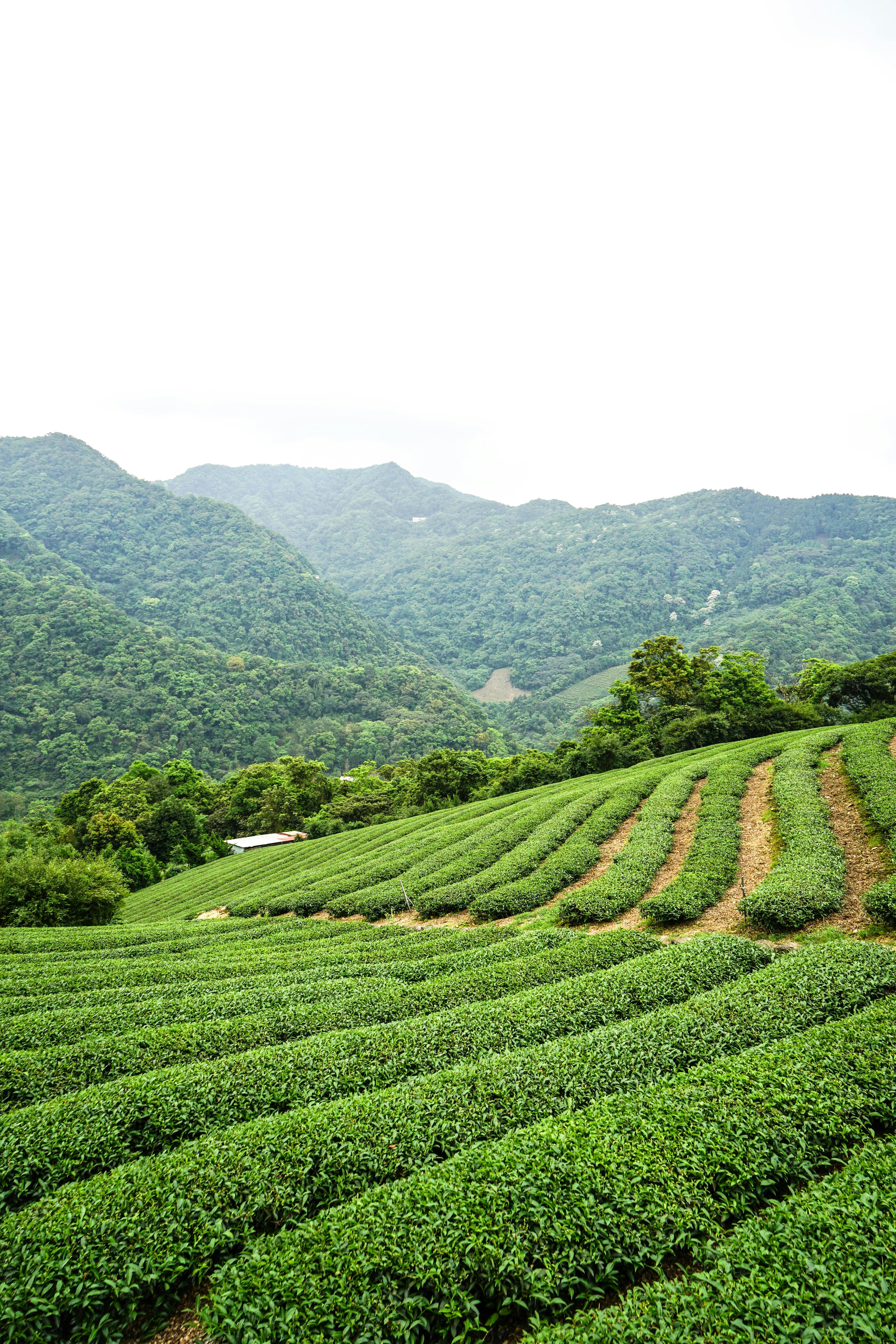 Photo by maggie__1105