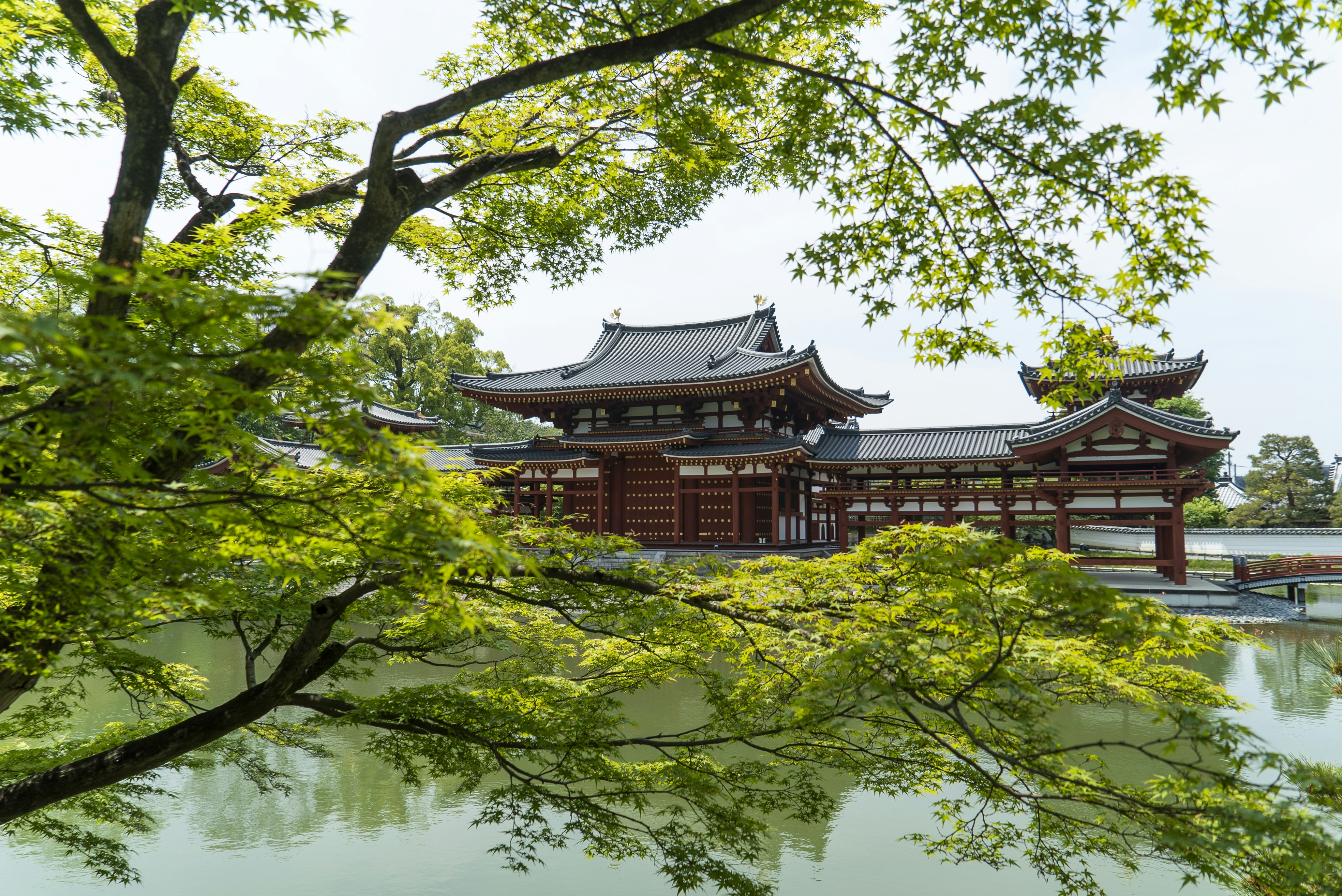 O Segredo das Orientais no Japão para uma Beleza Natural
