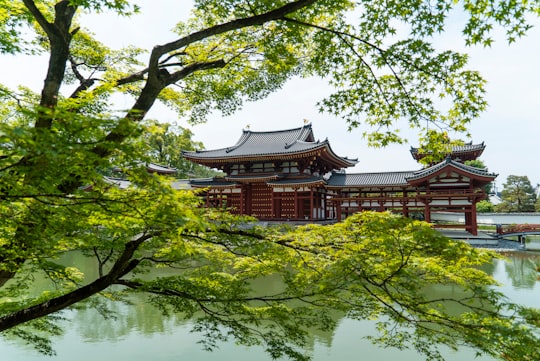 green trees beside body of water during daytime in Byodoin Japan