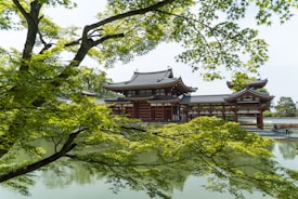 A traditional Japanese temple with intricate architectural details is partially obscured by lush green foliage from surrounding trees. The structure is situated beside a serene body of water, reflecting the building and greenery. The scene conveys a harmonious blend of natural beauty and human craftsmanship.