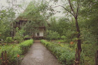 A rustic ancestral home in Bangarhatta village surrounded by lush greenery.