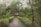 A rustic house with a thatched roof is nestled amidst dense greenery. A gravel path lined with vibrant red flowers and lush shrubs leads up to the elevated structure. Large trees surround the area, providing a serene and natural setting.