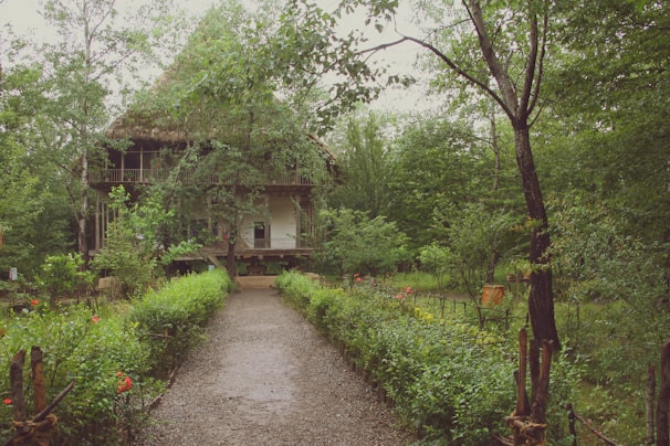A rustic house with a thatched roof is nestled amidst dense greenery. A gravel path lined with vibrant red flowers and lush shrubs leads up to the elevated structure. Large trees surround the area, providing a serene and natural setting.