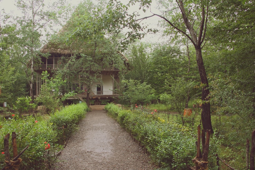 A cozy homestay nestled among lush greenery in Kerala, showcasing traditional architecture with wooden accents.