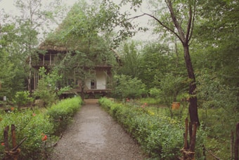 A rustic house with a thatched roof is nestled amidst dense greenery. A gravel path lined with vibrant red flowers and lush shrubs leads up to the elevated structure. Large trees surround the area, providing a serene and natural setting.