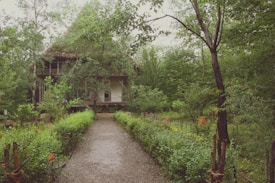 A rustic house with a thatched roof is nestled amidst dense greenery. A gravel path lined with vibrant red flowers and lush shrubs leads up to the elevated structure. Large trees surround the area, providing a serene and natural setting.