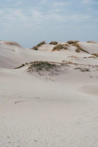 A serene, minimalistic scene with soft sand and sage green tones, evoking calm and mindful movement.