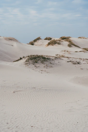 A serene, minimalistic scene with soft sand and sage green tones, evoking calm and mindful movement.