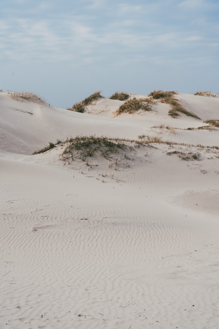 Ilha da Boavista → Lisboa