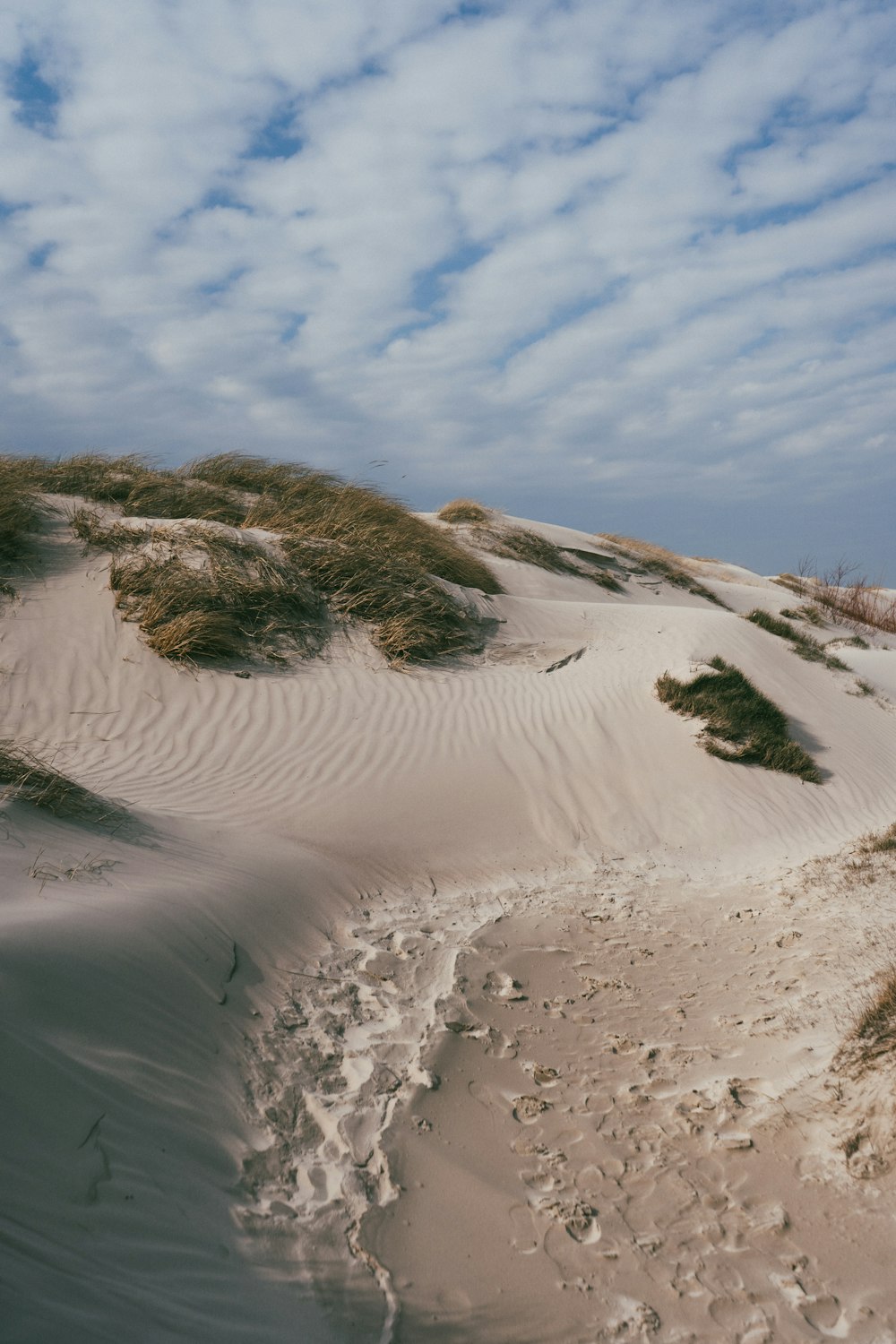 white sand and green grass field