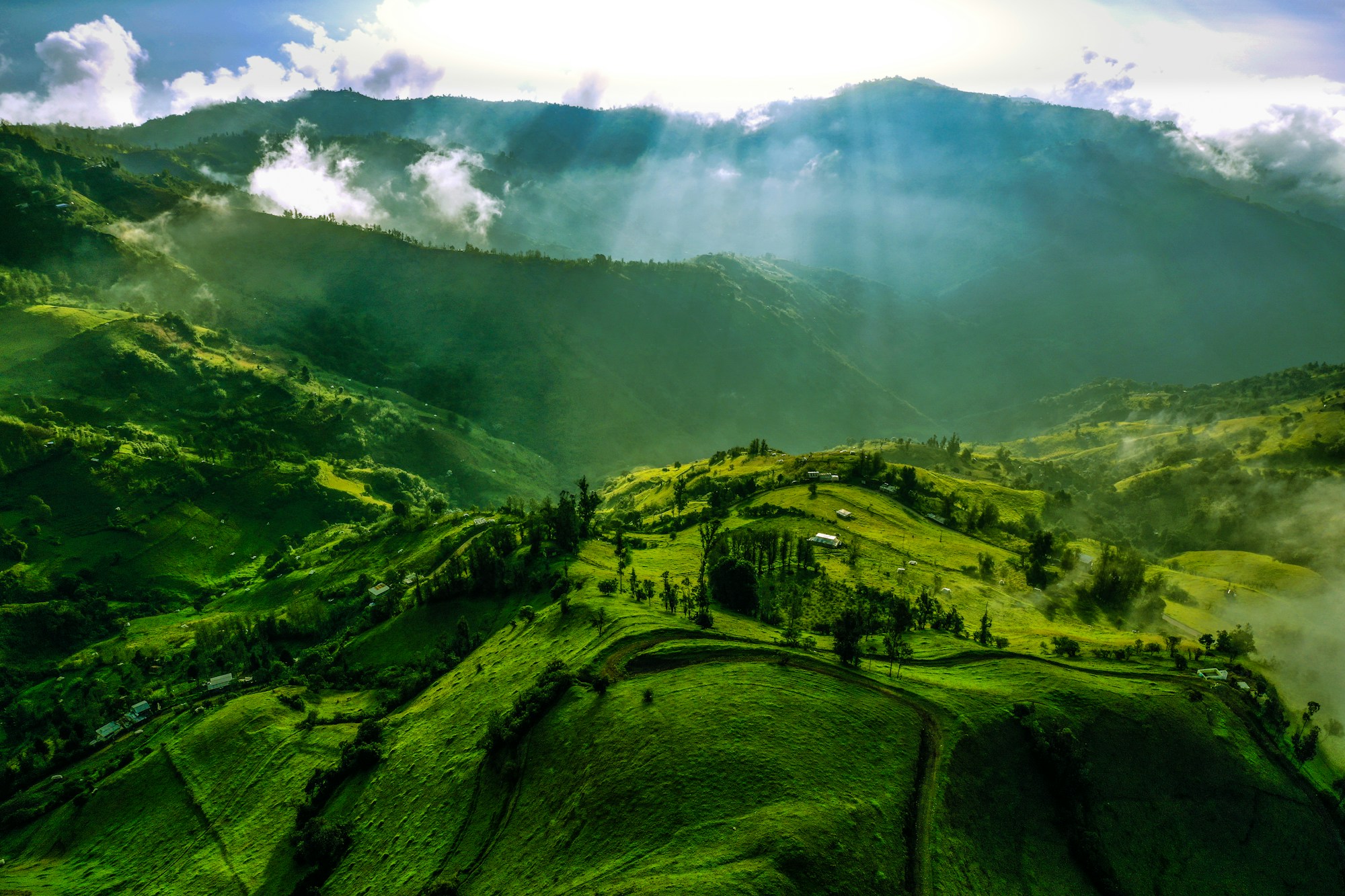Cultural Insights: Ecuadorian Traditions & Festivals