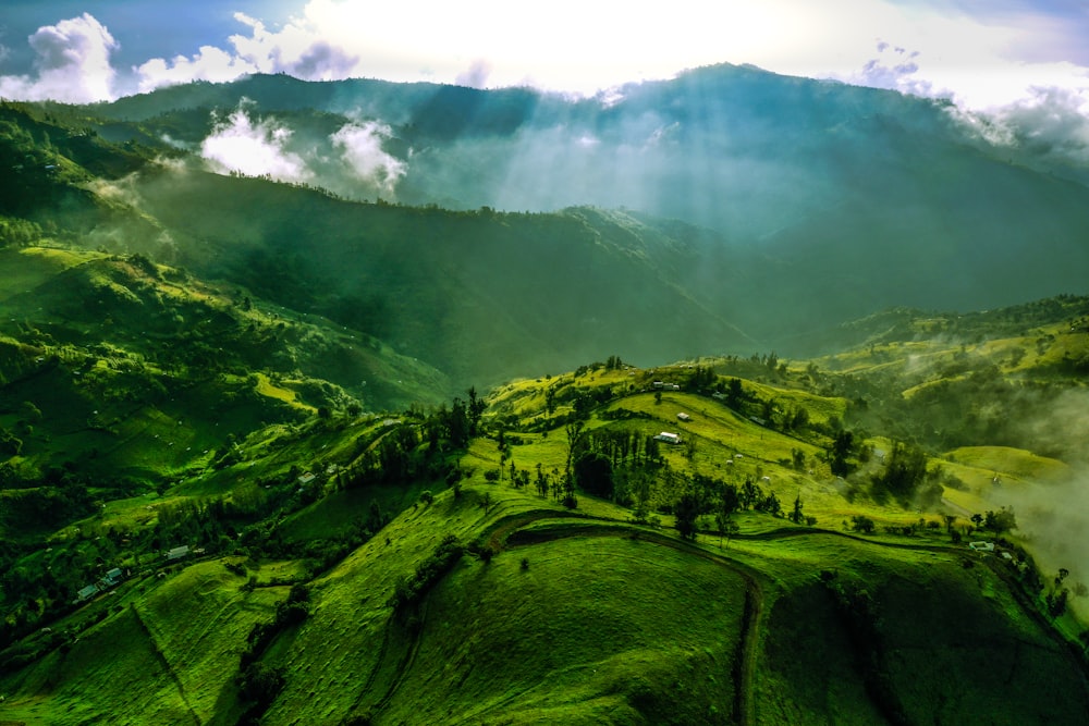 green grass field under white clouds during daytime