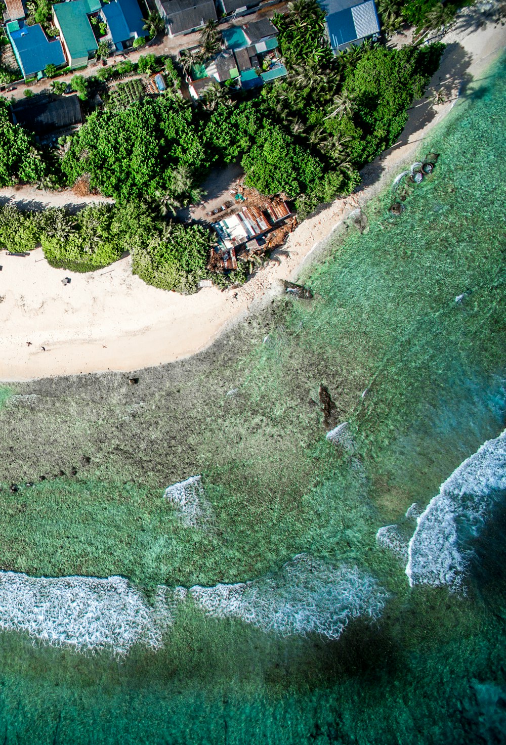 aerial view of green trees and brown sand during daytime