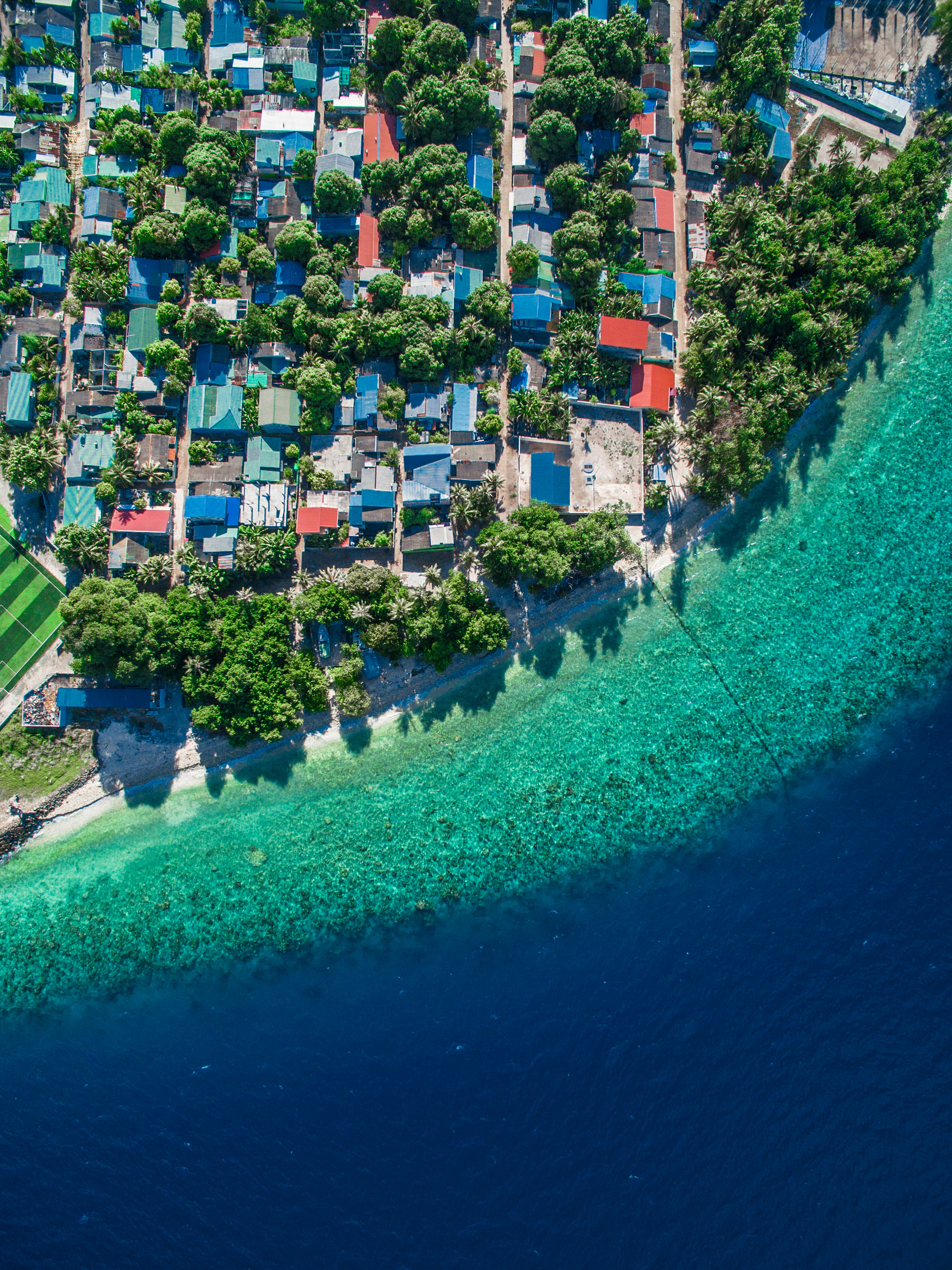 aerial view of city buildings near body of water during daytime