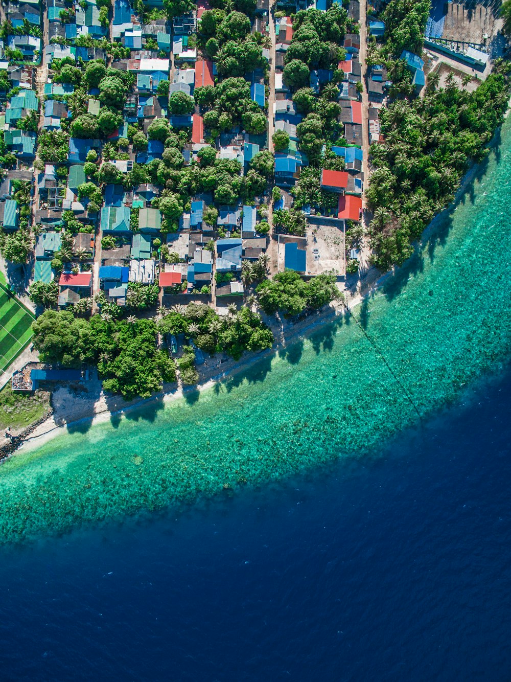 aerial view of city buildings near body of water during daytime