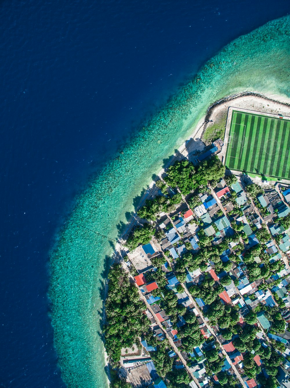 aerial view of city buildings near body of water during daytime