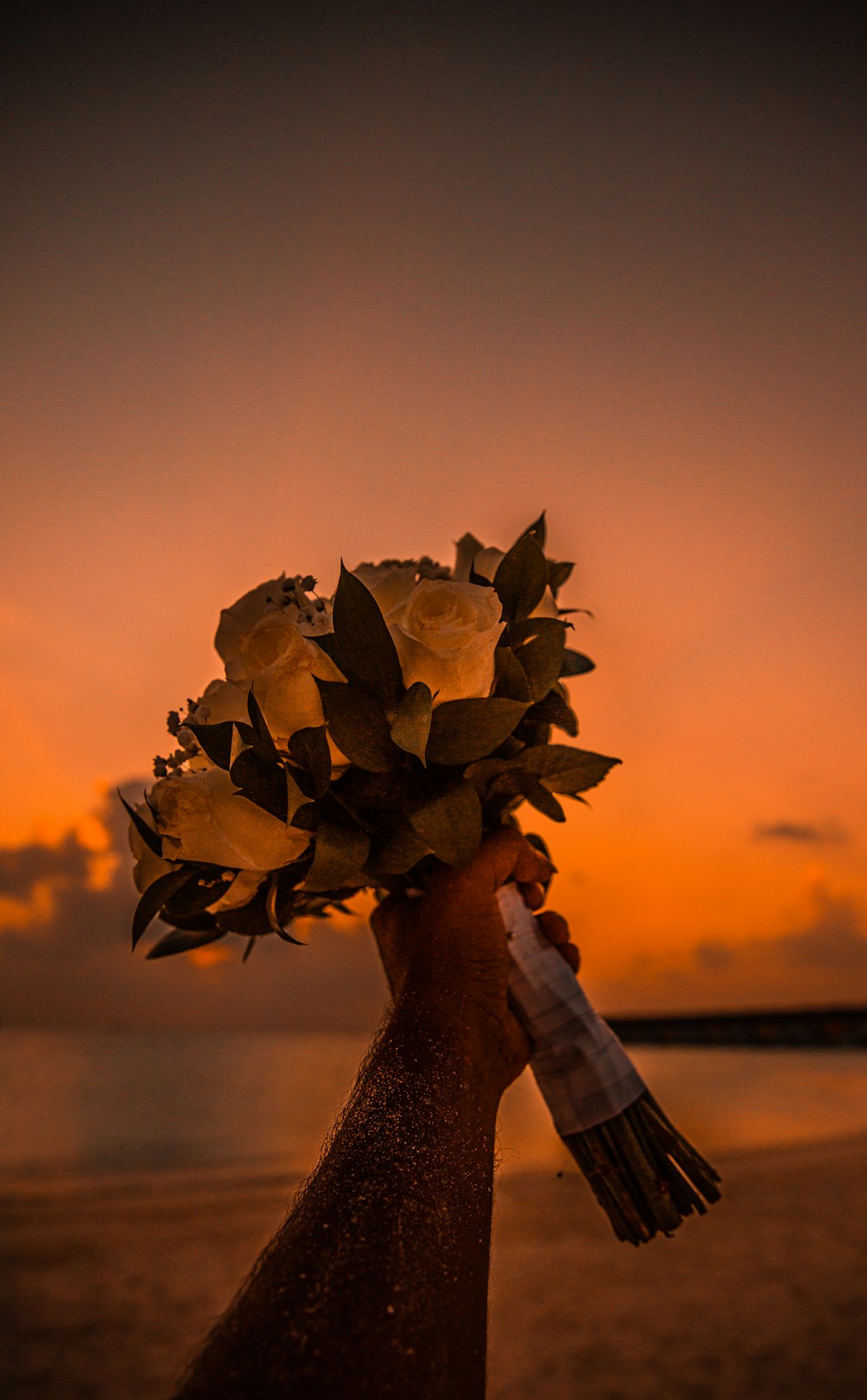 person holding brown flower during sunset