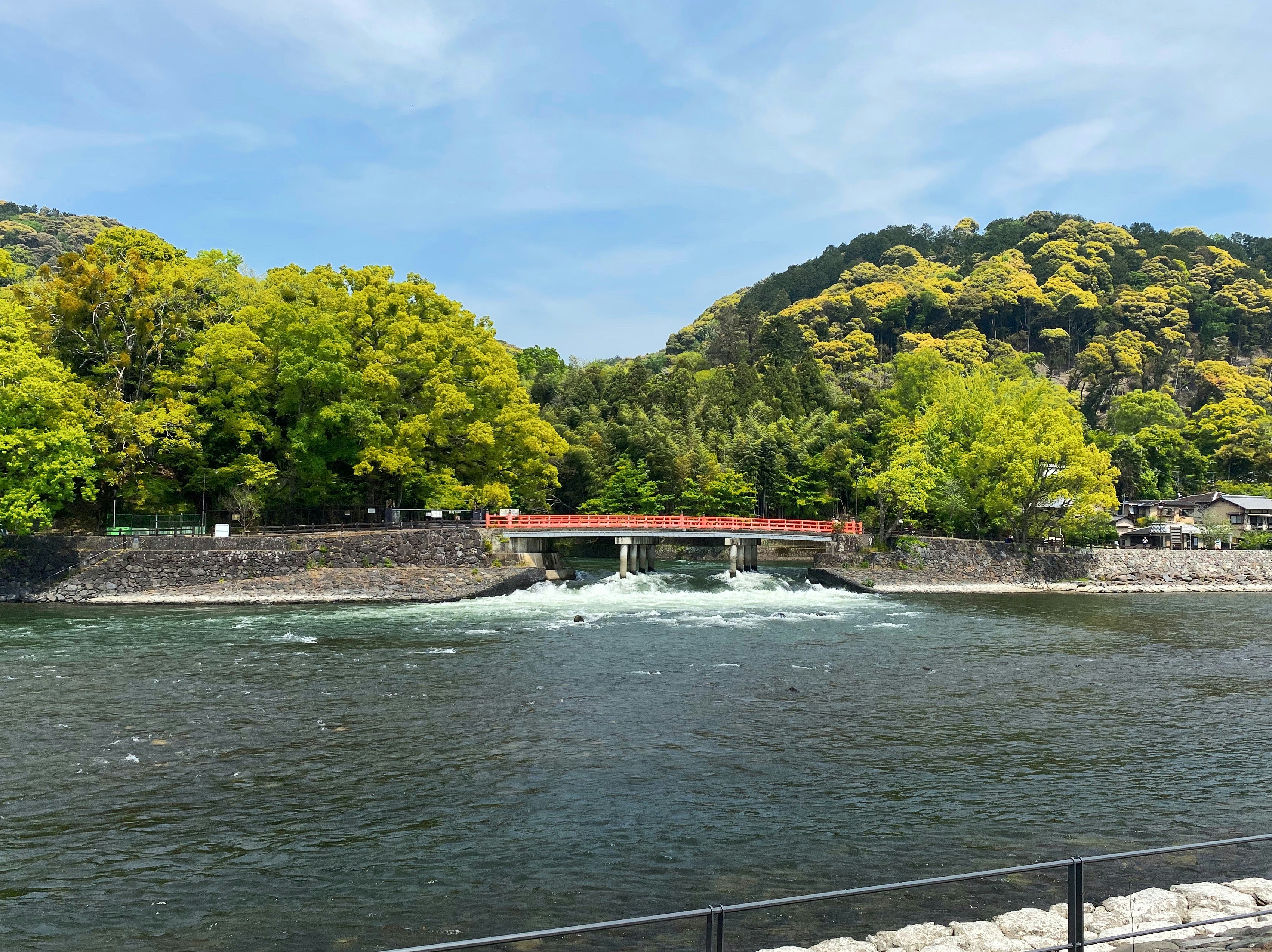 green trees near body of water during daytime