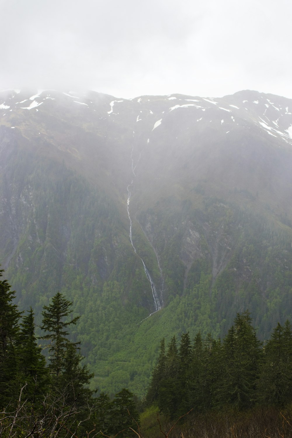 green trees on mountain during daytime