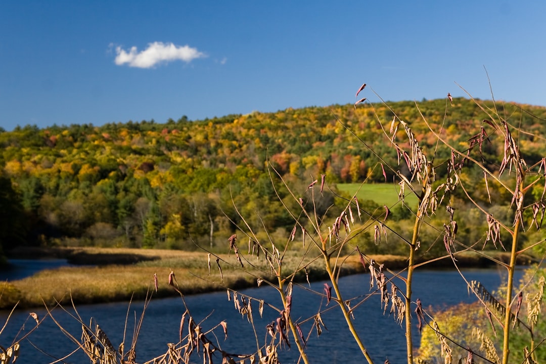 Vermont's Pomfret Closes Roads During Peak Fall Foliage Balancing T… — Vermont's Pomfret Closes Roads During Peak