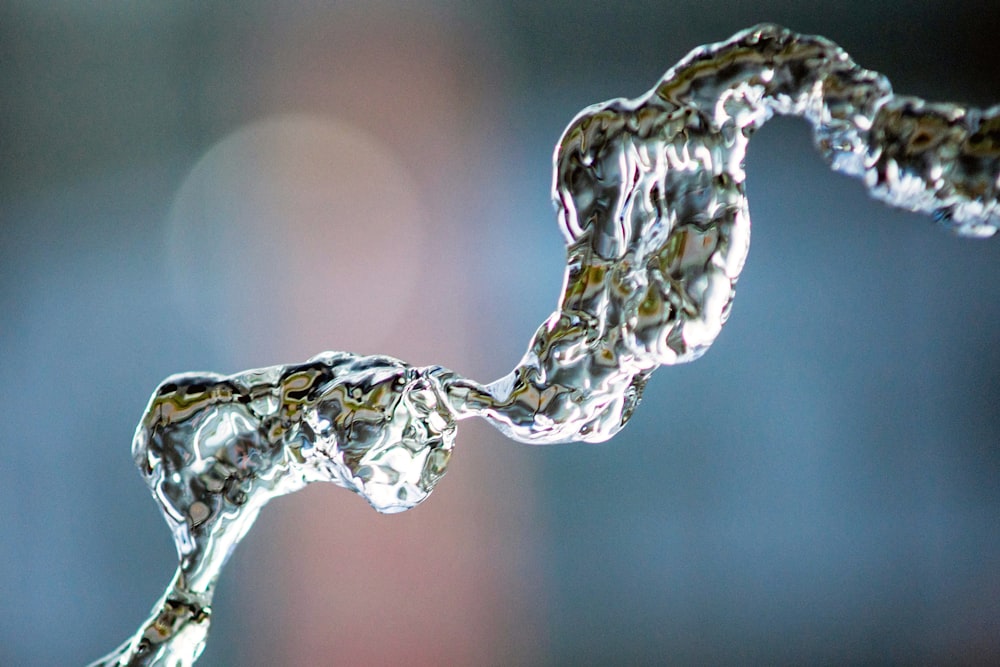 water drops on gray tree branch