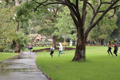 Several people are running along a wet pathway in a lush, green park. The scene includes a large tree with thick branches and a background of various shrubs and small trees. A building with a tiled roof is visible behind the foliage.