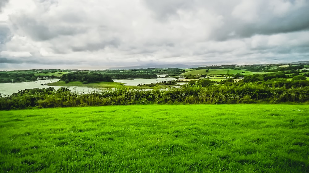 campo de hierba verde bajo el cielo nublado durante el día